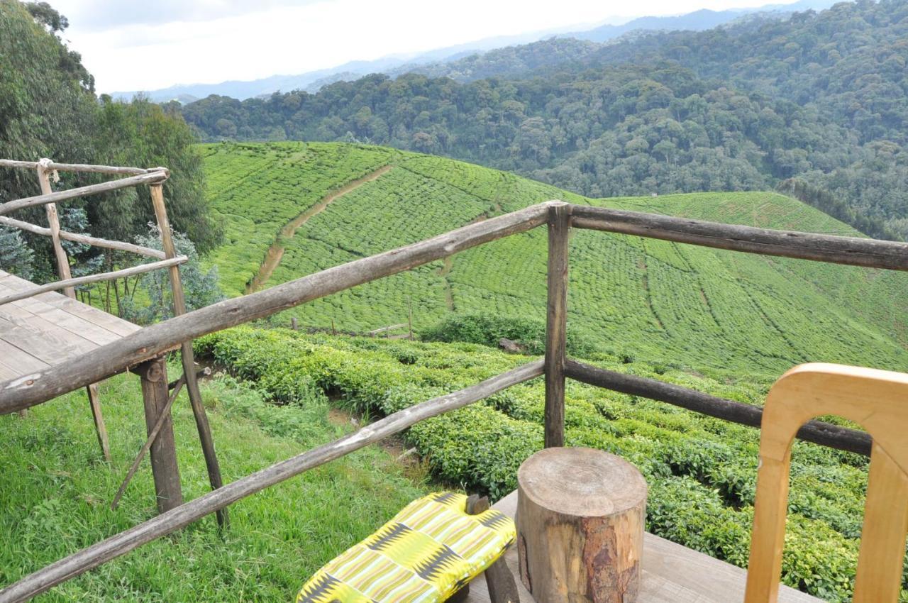 Nyungwe Nziza Ecolodge Kitabi Exterior foto