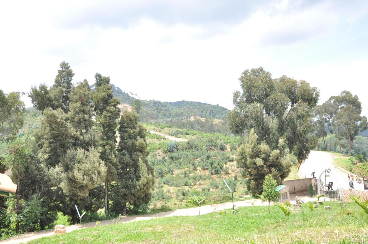 Nyungwe Nziza Ecolodge Kitabi Exterior foto