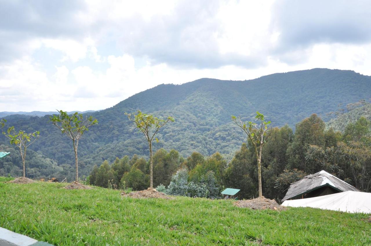 Nyungwe Nziza Ecolodge Kitabi Exterior foto