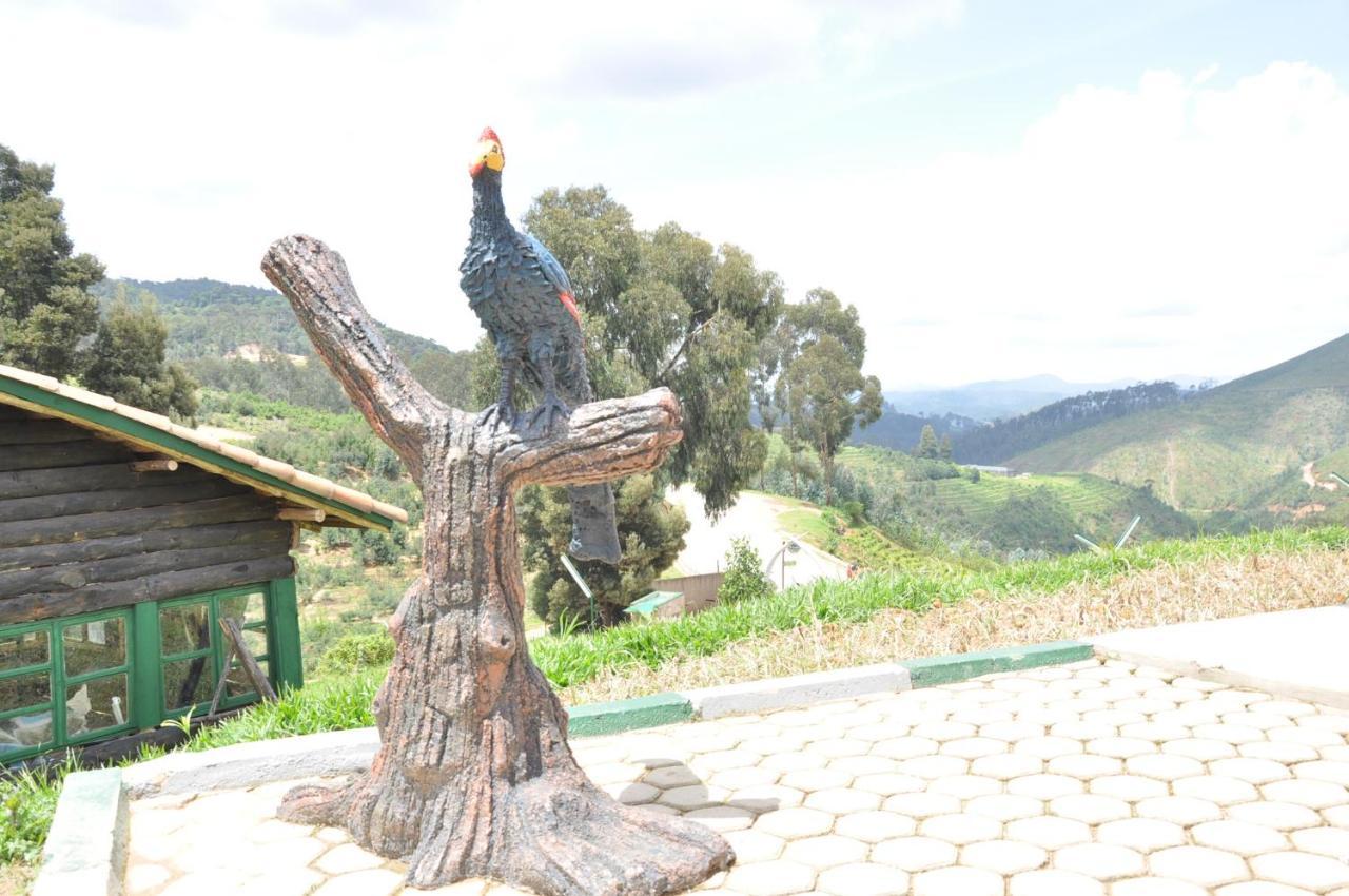 Nyungwe Nziza Ecolodge Kitabi Exterior foto
